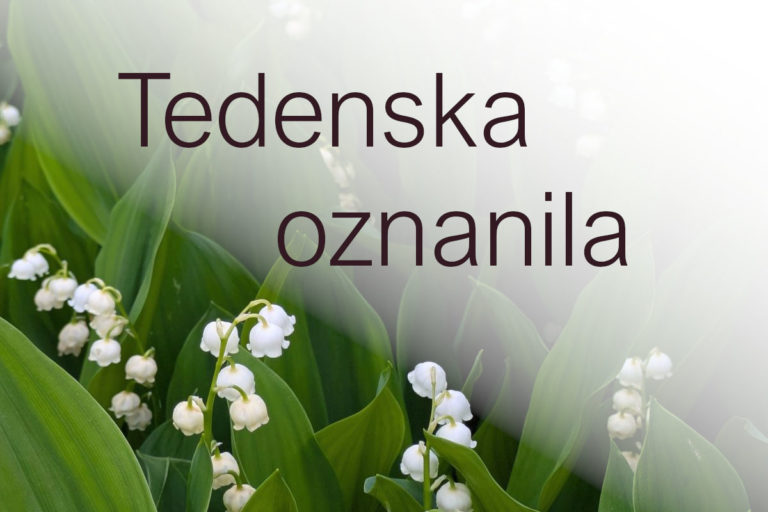 4. velikonočna nedelja 2025